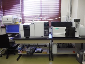 P&T GC-MS