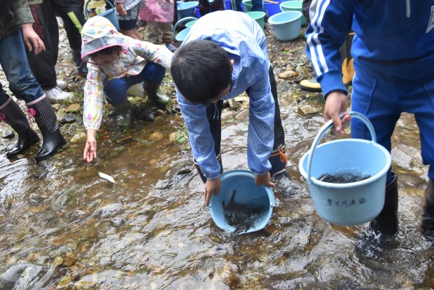 稚魚放流