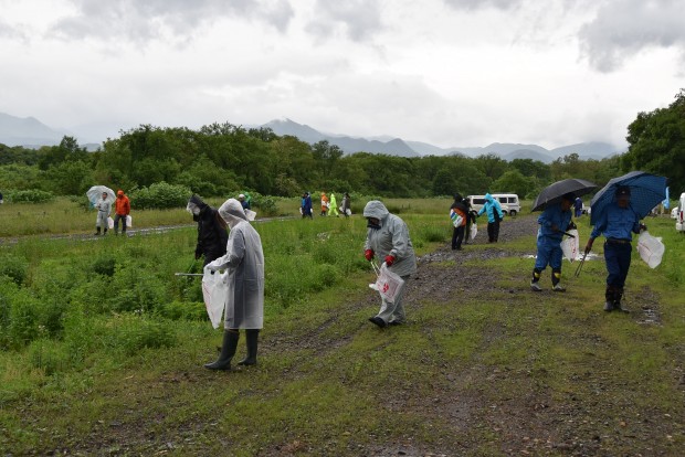 和賀川清掃活動